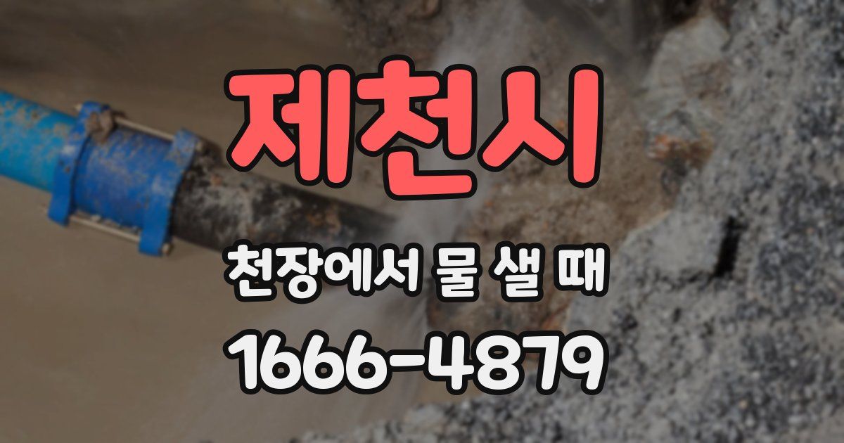 제천시 천장에서 물 샐 때