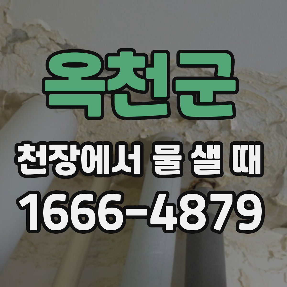 옥천군 천장에서 물 샐 때