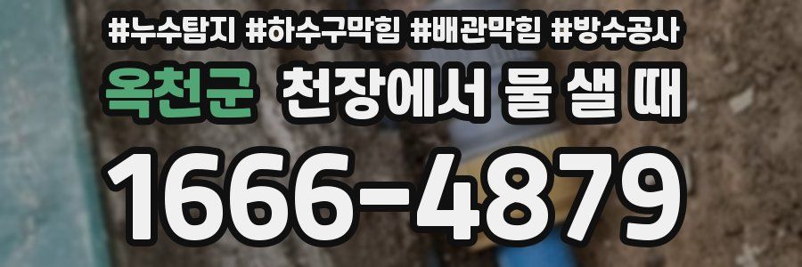 옥천군 천장에서 물 샐 때