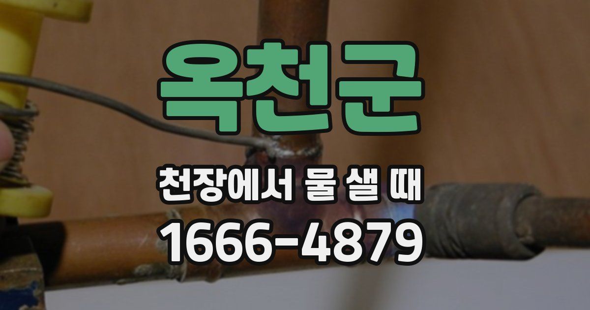 옥천군 천장에서 물 샐 때