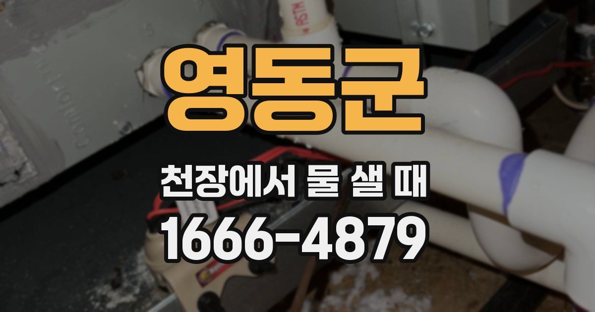영동군 천장에서 물 샐 때