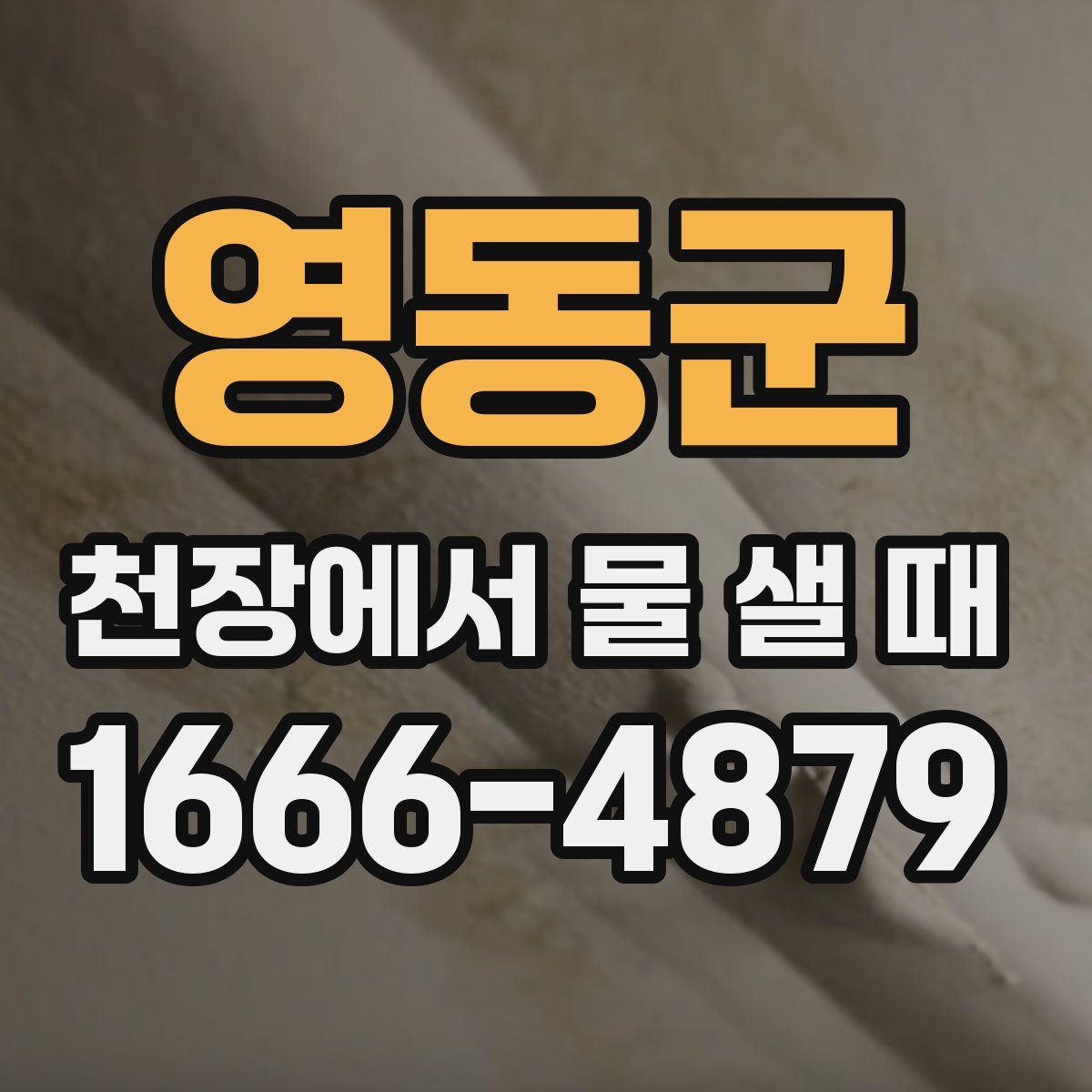 영동군 천장에서 물 샐 때