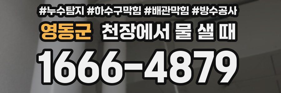 영동군 천장에서 물 샐 때