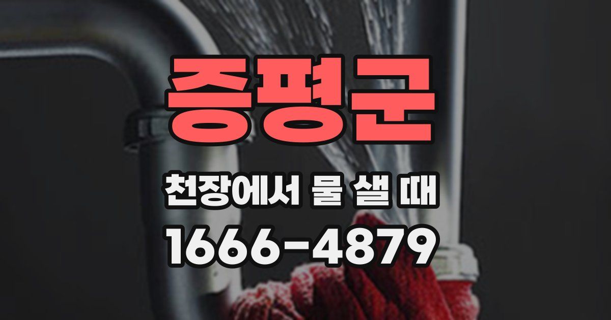 증평군 천장에서 물 샐 때