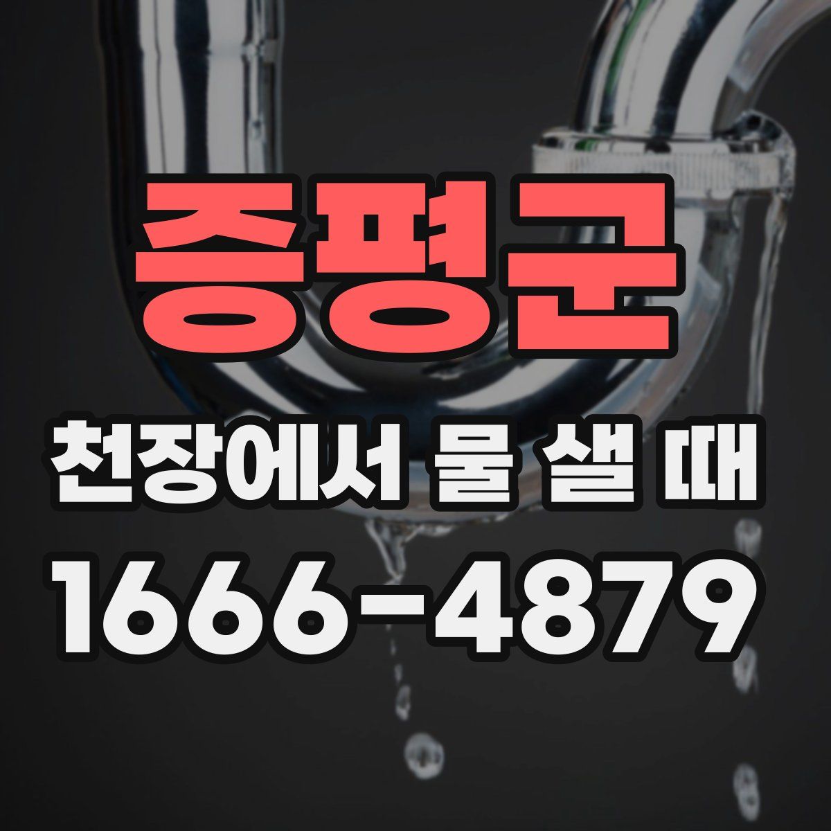 증평군 천장에서 물 샐 때
