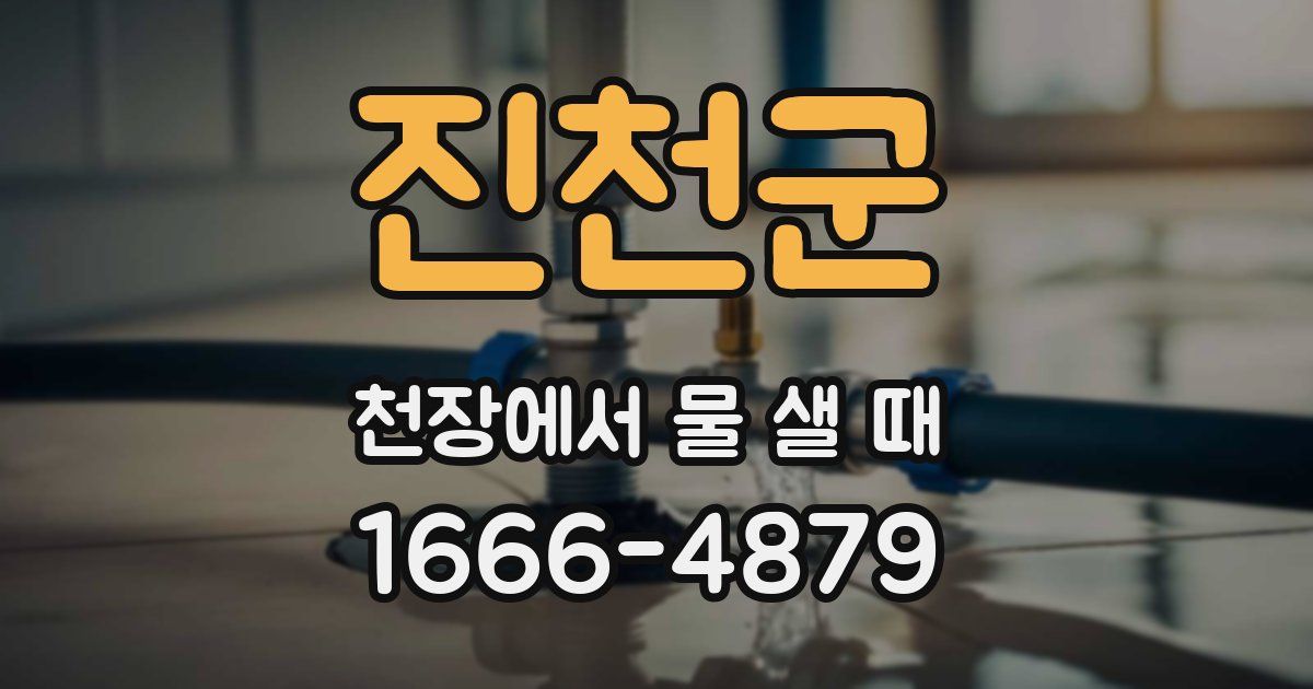 진천군 천장에서 물 샐 때