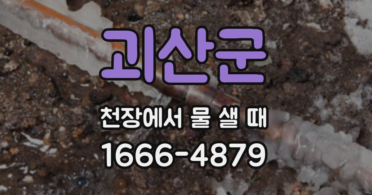 괴산군 천장에서 물 샐 때