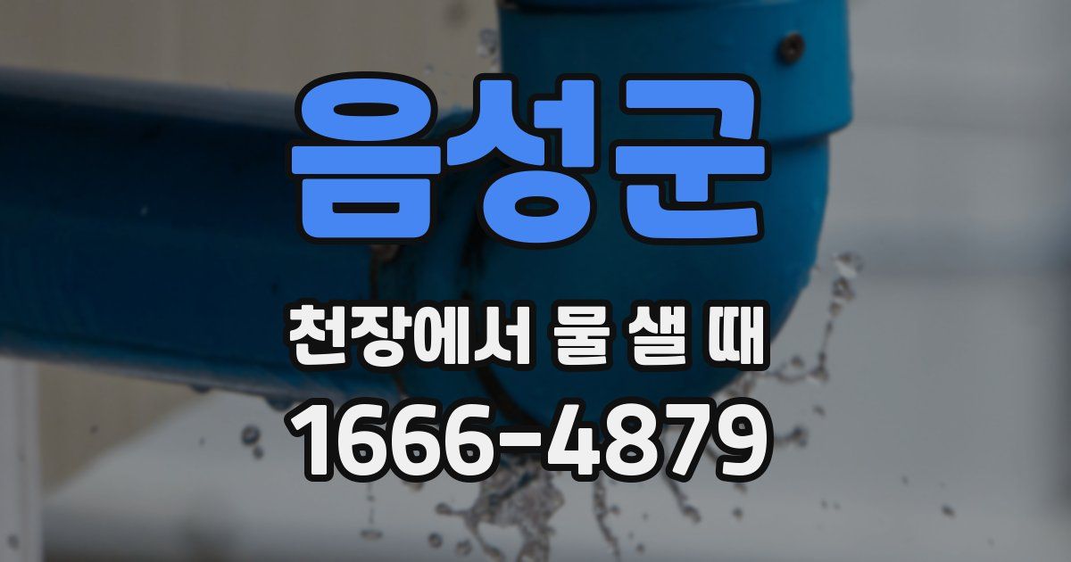 음성군 천장에서 물 샐 때