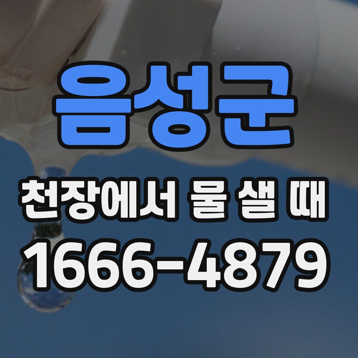 음성군 천장에서 물 샐 때
