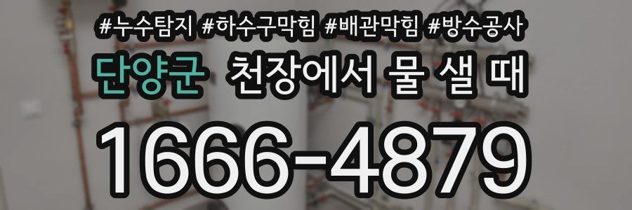 단양군 천장에서 물 샐 때