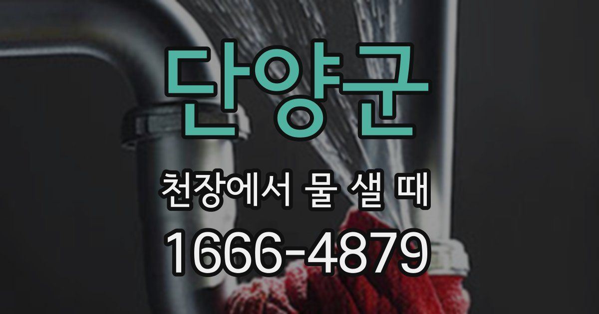 단양군 천장에서 물 샐 때