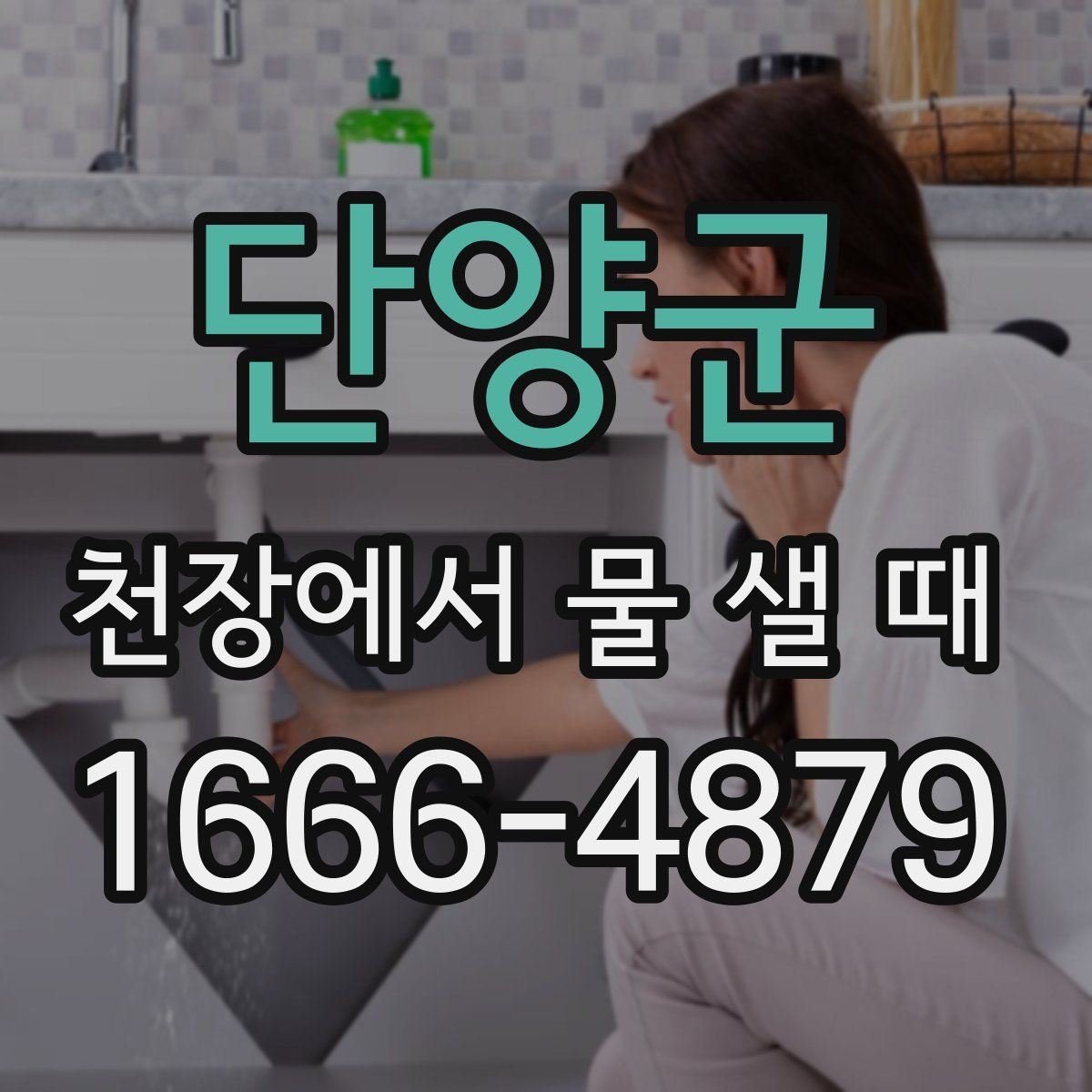 단양군 천장에서 물 샐 때