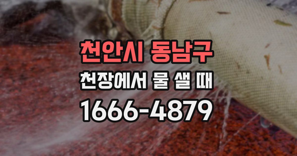 천안시 동남구 천장에서 물 샐 때
