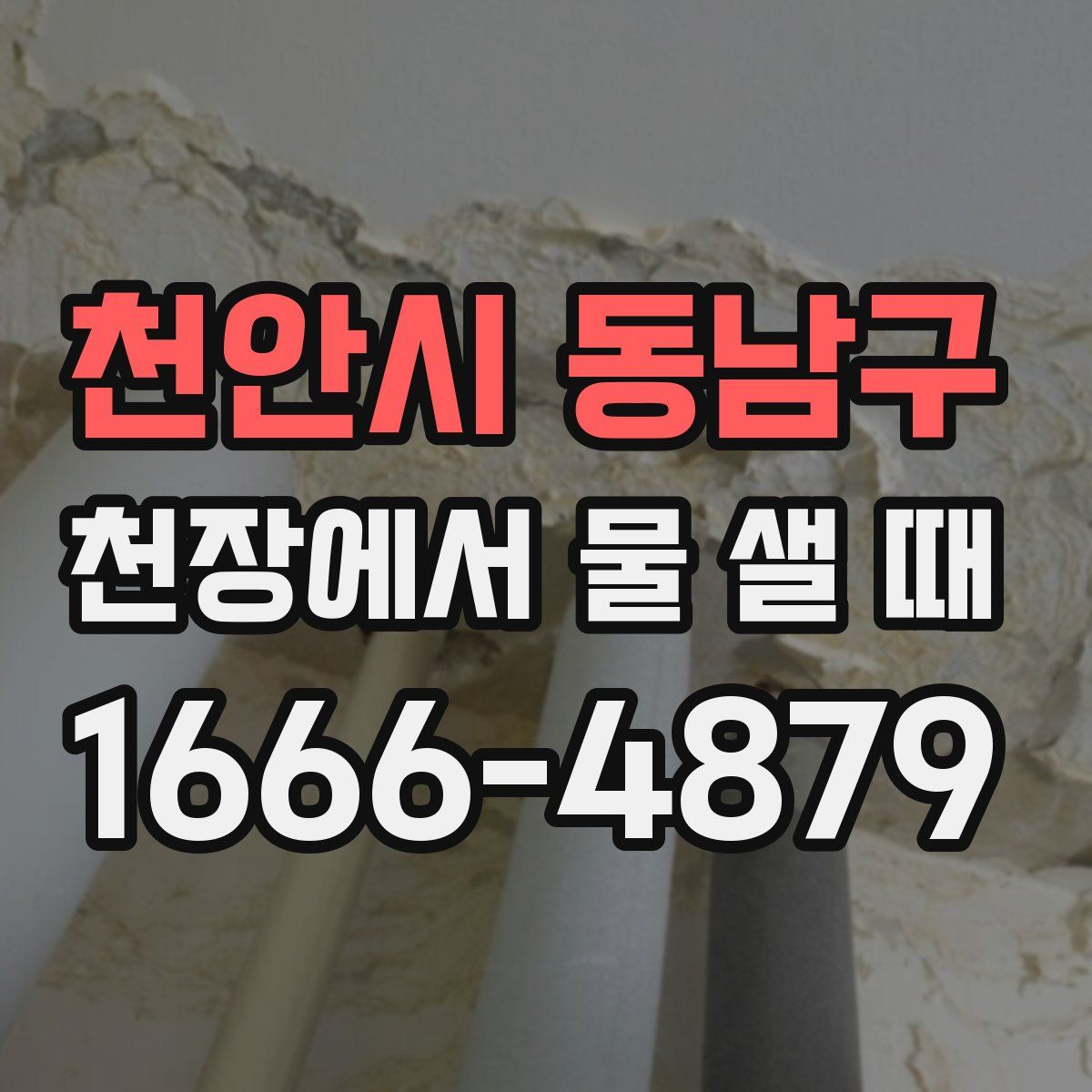 천안시 동남구 천장에서 물 샐 때