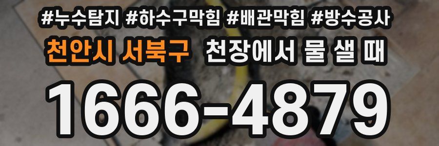 천안시 서북구 천장에서 물 샐 때