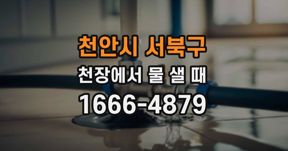 천안시 서북구 천장에서 물 샐 때