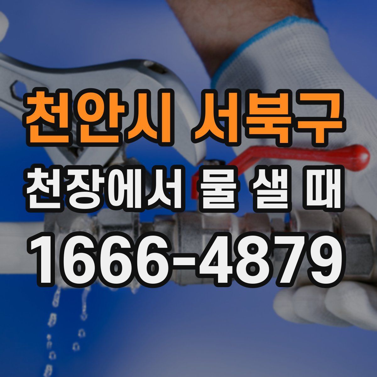 천안시 서북구 천장에서 물 샐 때