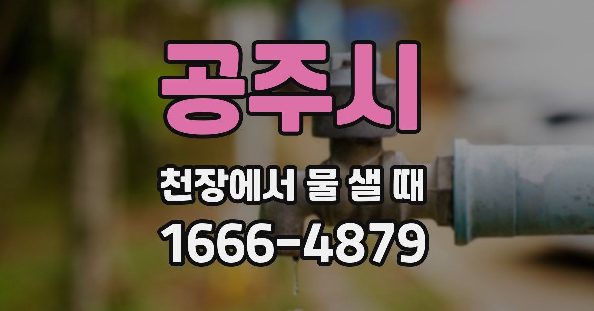 공주시 천장에서 물 샐 때