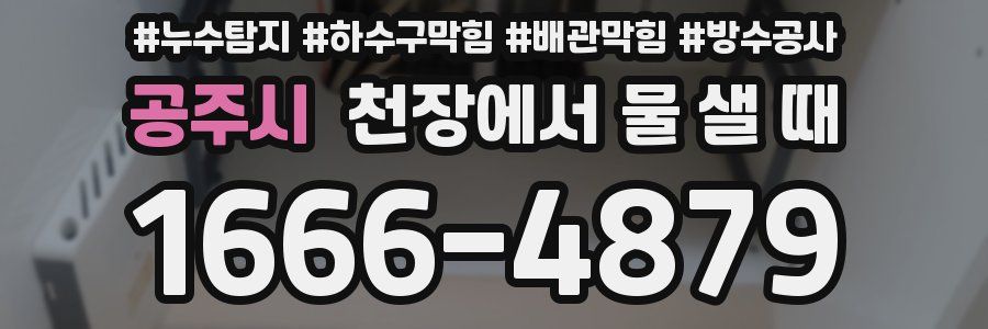 공주시 천장에서 물 샐 때