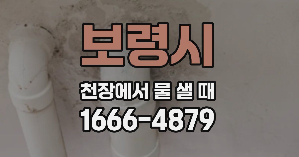 보령시 천장에서 물 샐 때