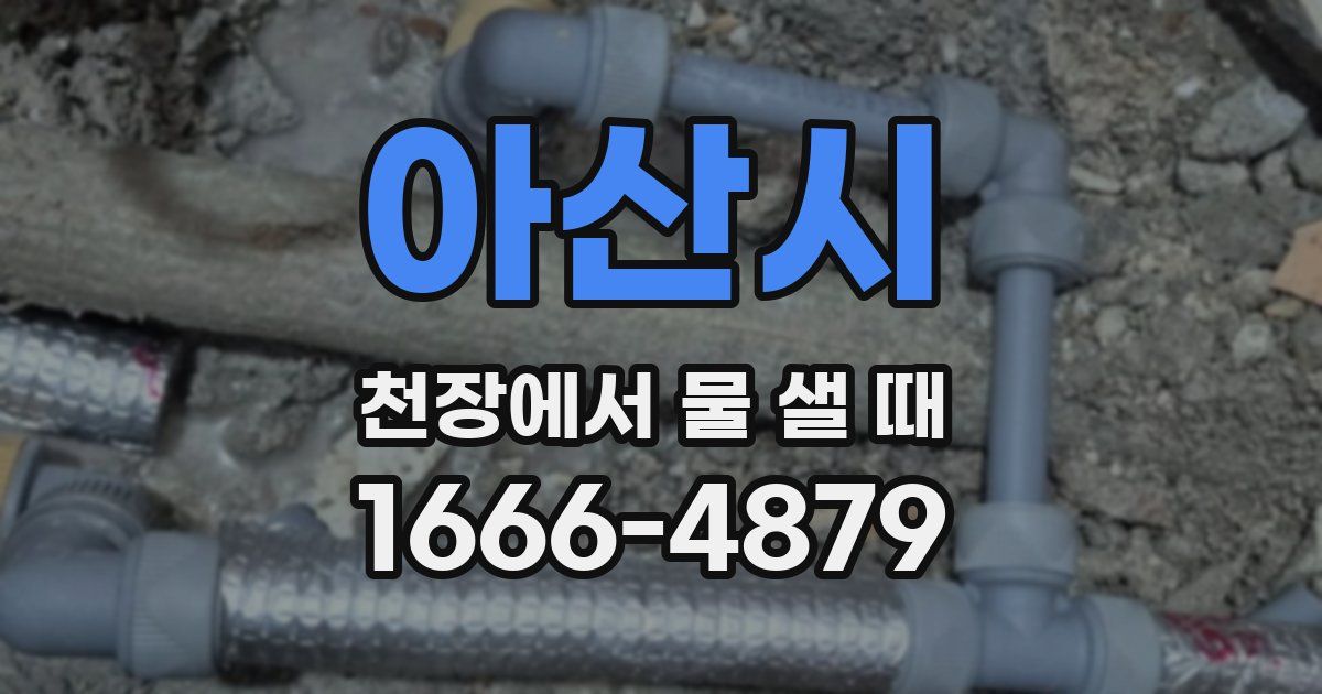 아산시 천장에서 물 샐 때