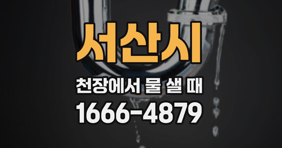 서산시 천장에서 물 샐 때