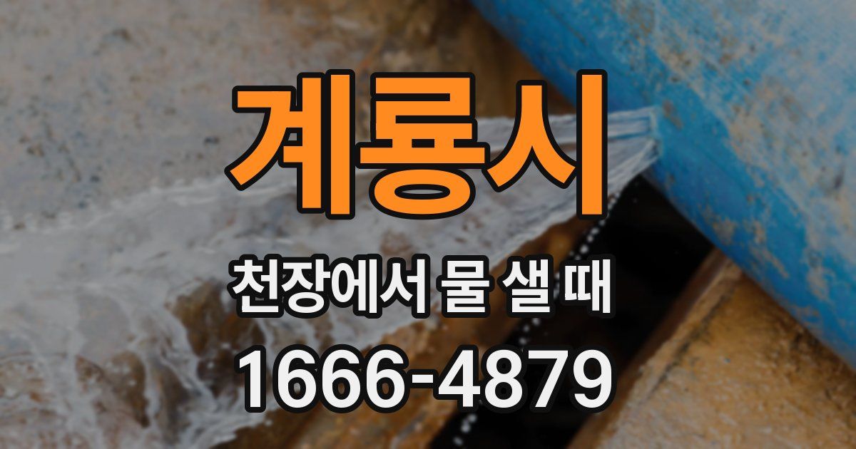 계룡시 천장에서 물 샐 때