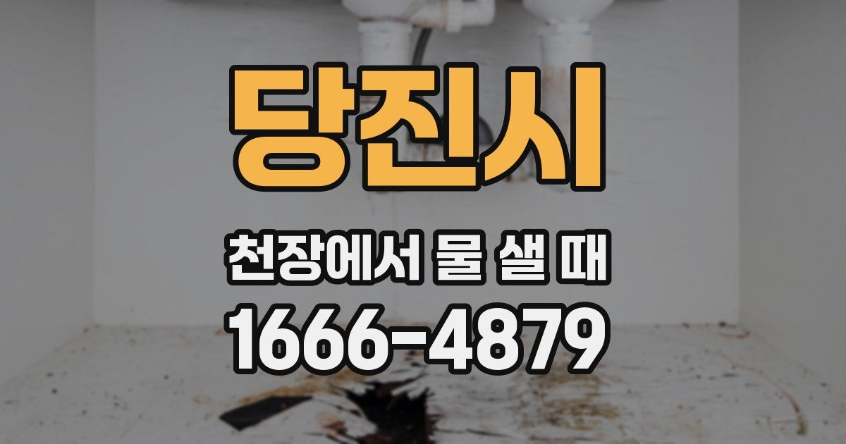 당진시 천장에서 물 샐 때