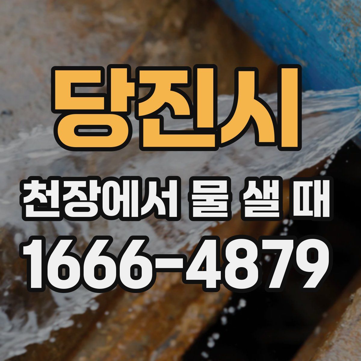 당진시 천장에서 물 샐 때