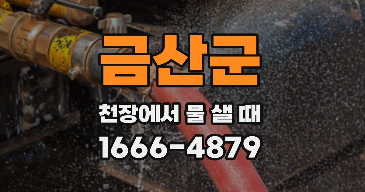 금산군 천장에서 물 샐 때