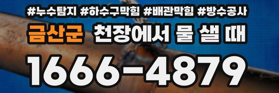 금산군 천장에서 물 샐 때