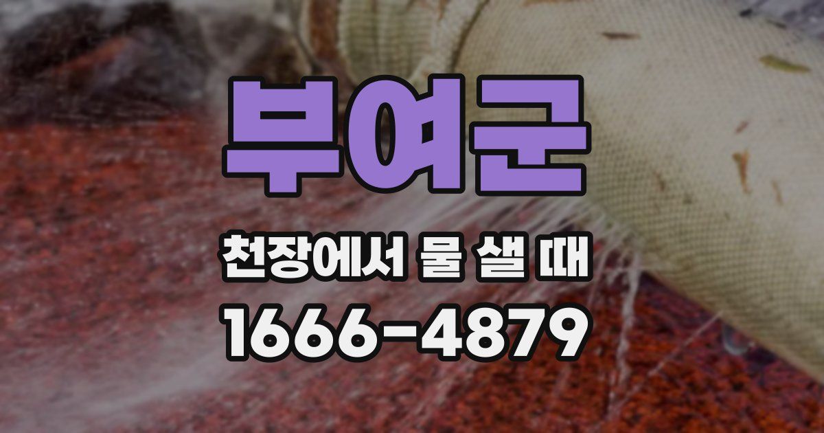 부여군 천장에서 물 샐 때