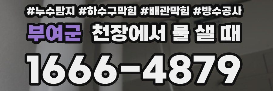 부여군 천장에서 물 샐 때