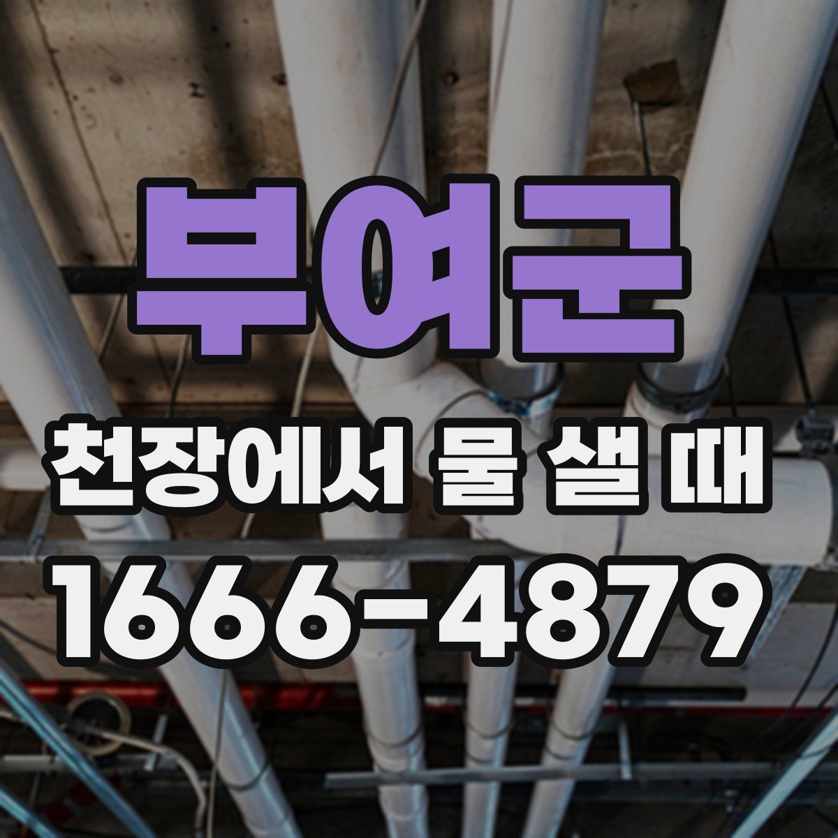 부여군 천장에서 물 샐 때
