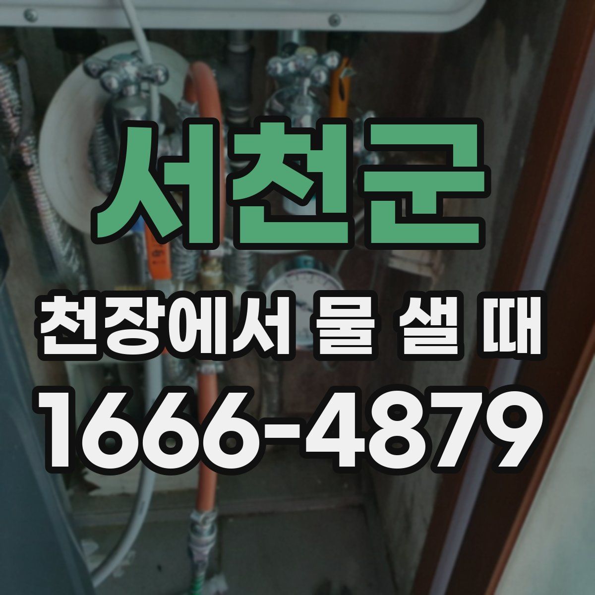 서천군 천장에서 물 샐 때