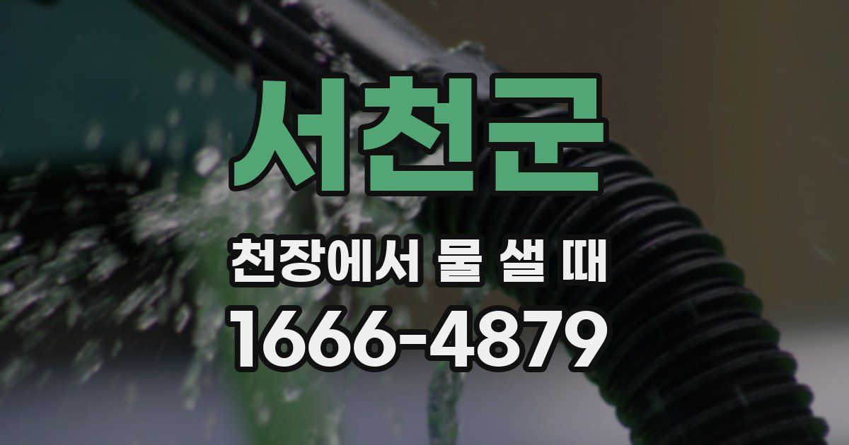 서천군 천장에서 물 샐 때