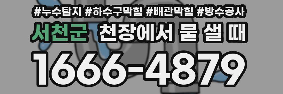 서천군 천장에서 물 샐 때