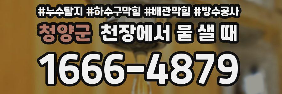 청양군 천장에서 물 샐 때