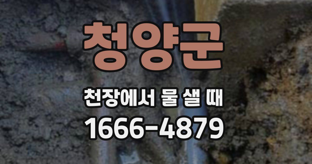 청양군 천장에서 물 샐 때