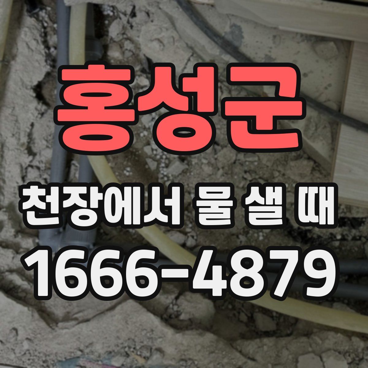 홍성군 천장에서 물 샐 때