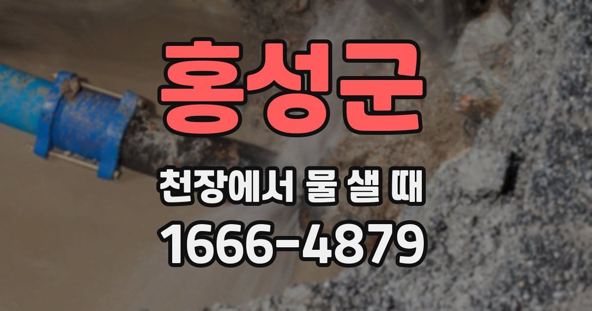 홍성군 천장에서 물 샐 때