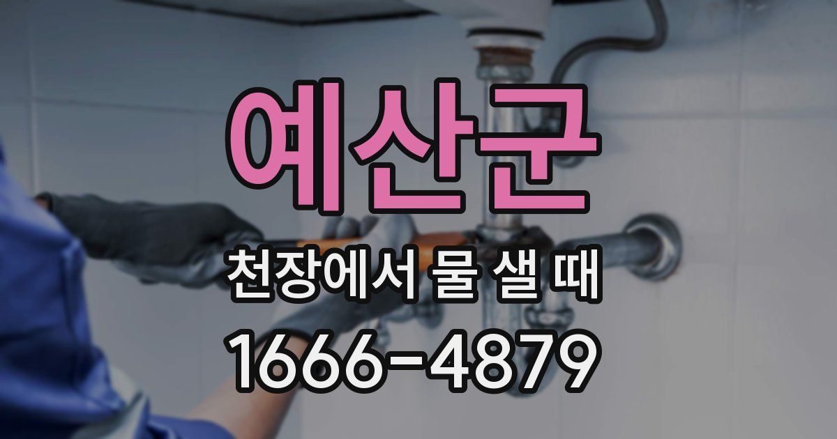 예산군 천장에서 물 샐 때