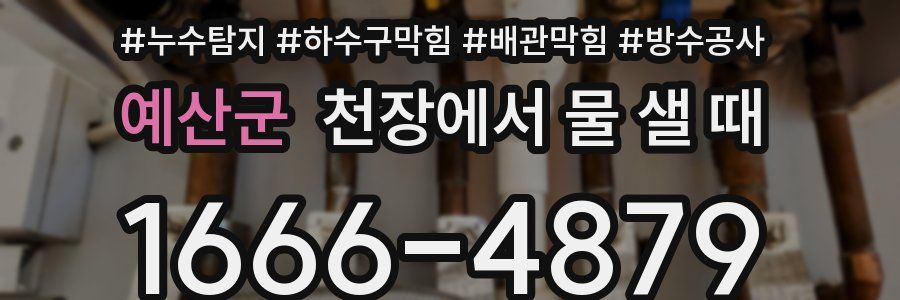 예산군 천장에서 물 샐 때