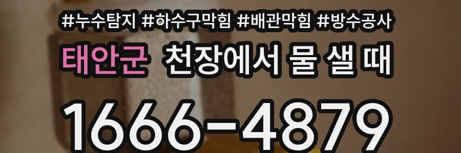 태안군 천장에서 물 샐 때