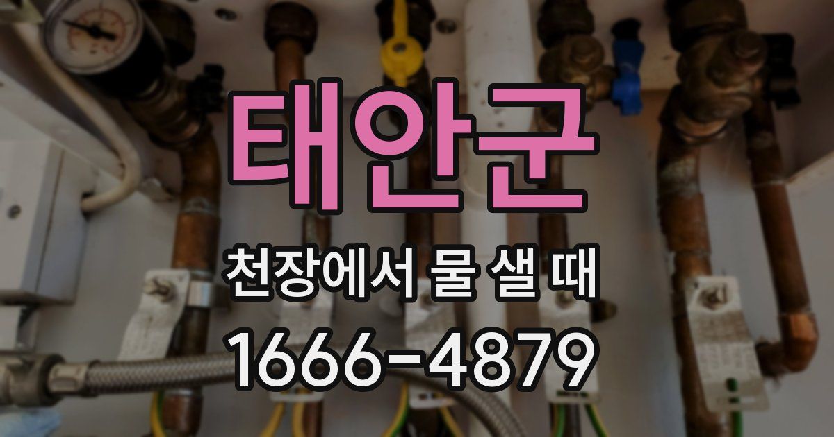 태안군 천장에서 물 샐 때
