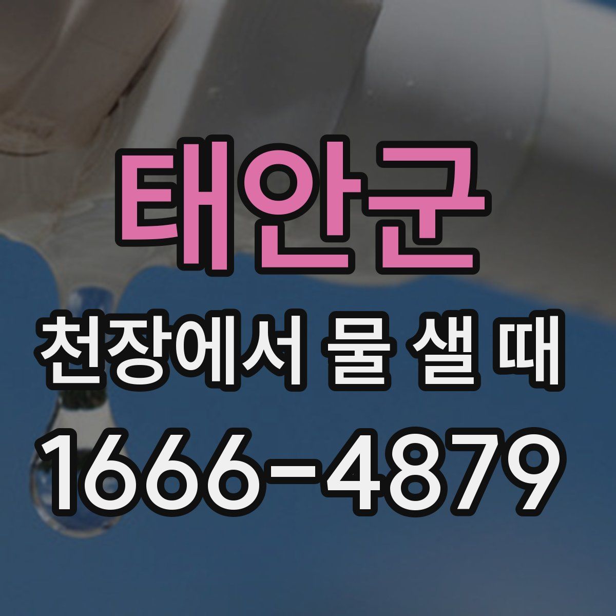 태안군 천장에서 물 샐 때