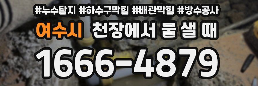 여수시 천장에서 물 샐 때