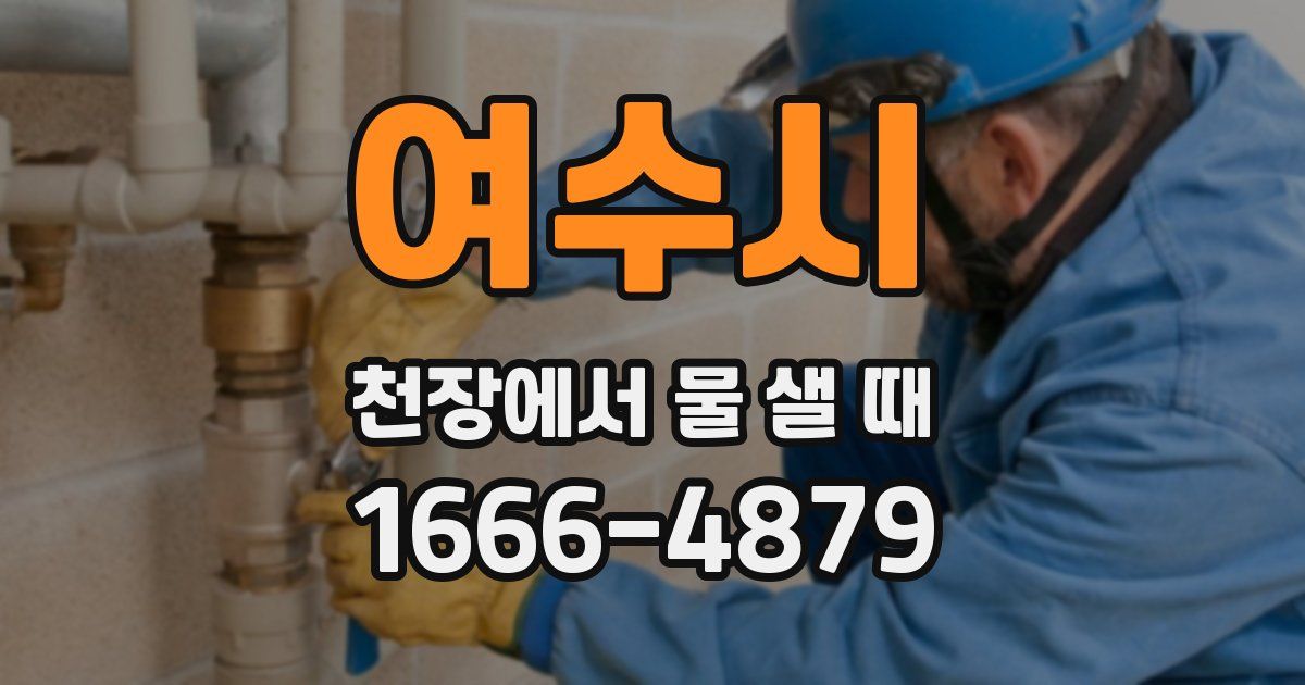 여수시 천장에서 물 샐 때