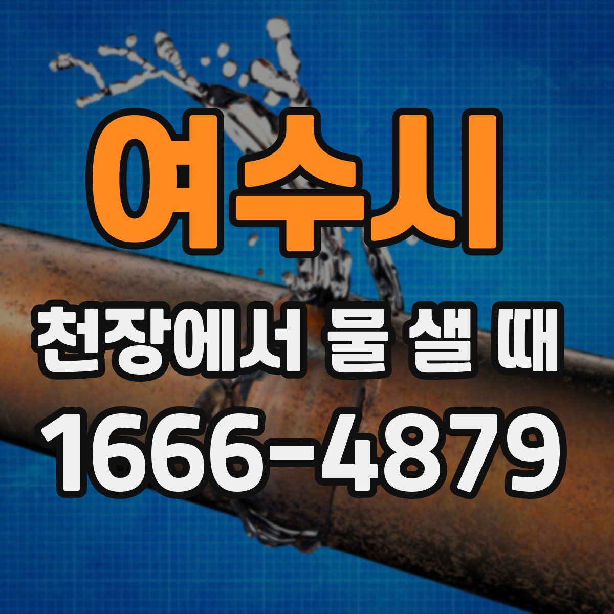 여수시 천장에서 물 샐 때