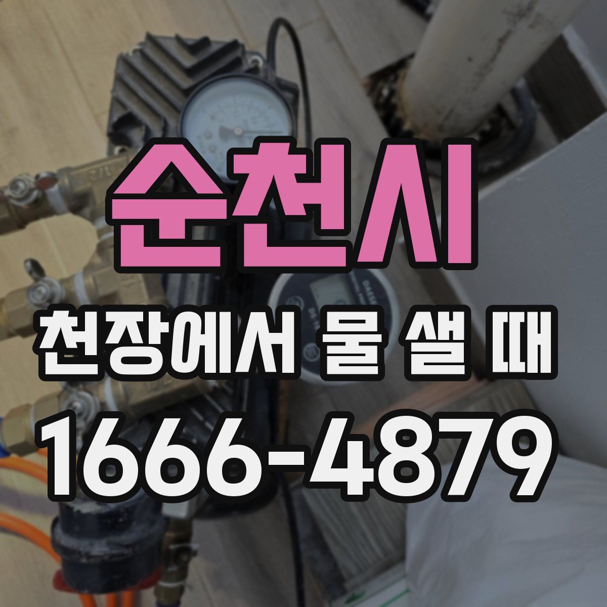 순천시 천장에서 물 샐 때
